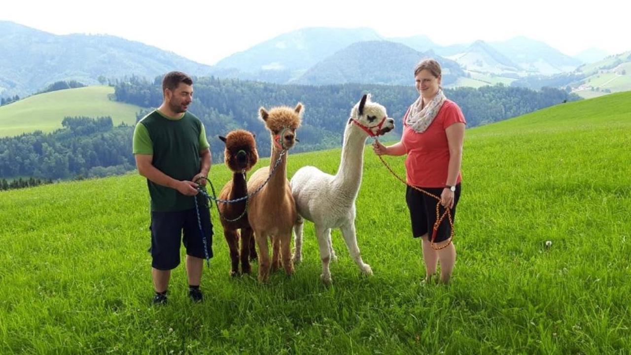 Mitterhirschberg, Familie Schweighuber Apartman Waidhofen an der Ybbs Kültér fotó